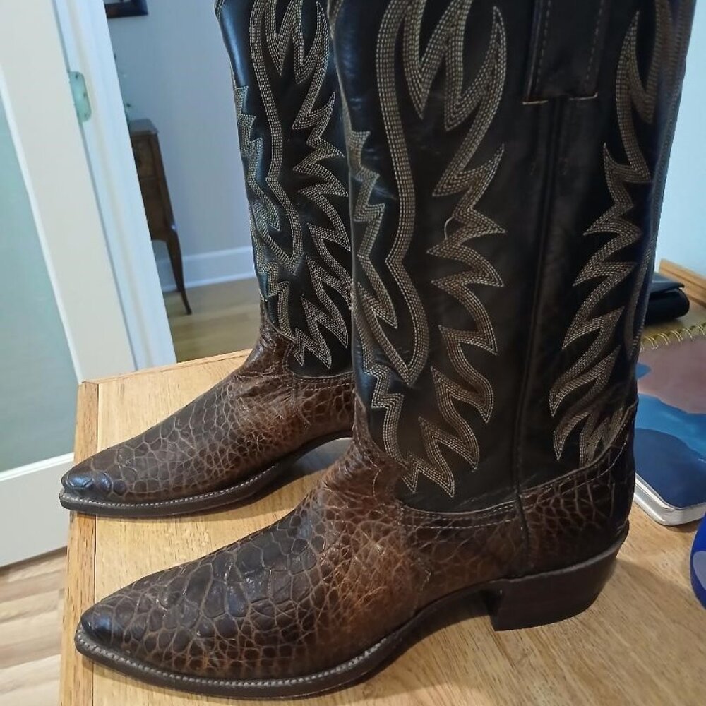 Justin Pre Ban Sea Turtle